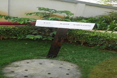 Rain Water Harvesting